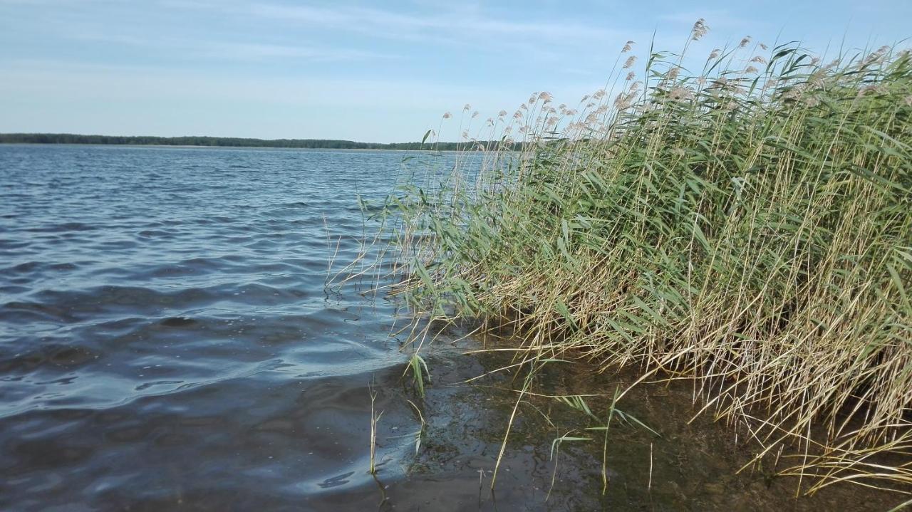 Domek Letniskowy "Domek Lawendowy" Pisz Exterior foto